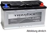 Trimaxx cyclic F04 Batterien