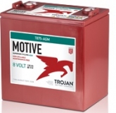 Trojan Motive T875-AGM Batterie, 8V, 160Ah, Stückzahlen bitte anfragen