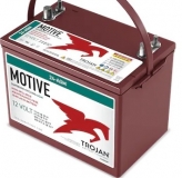 Trojan 24-AGM 12V 76Ah Deep Cycle Batterie m. Rundpol u. Gewindest.