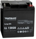 Triathlon LL 12028, 12V 28Ah Blei AGM long life Batterie wartungsfrei